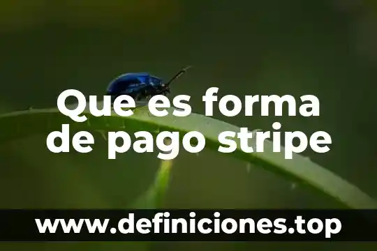 Que es forma de pago stripe
