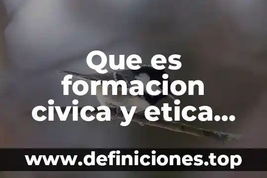 Que es la definicion de formacion civica y etica 6 Que es formacion civica y etica en que nos beneficia