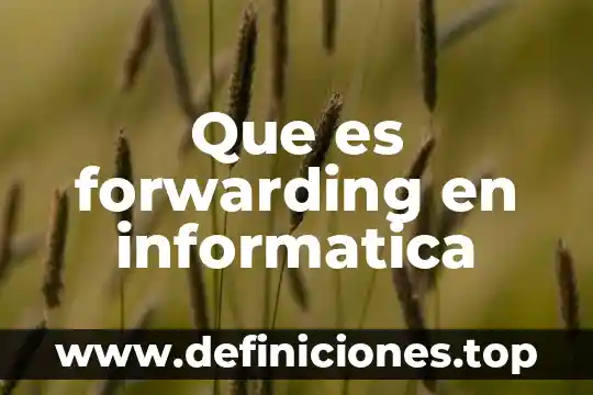 Que es des en informatica 8 Que es forwarding en informatica