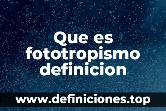 Que es fototropismo definicion