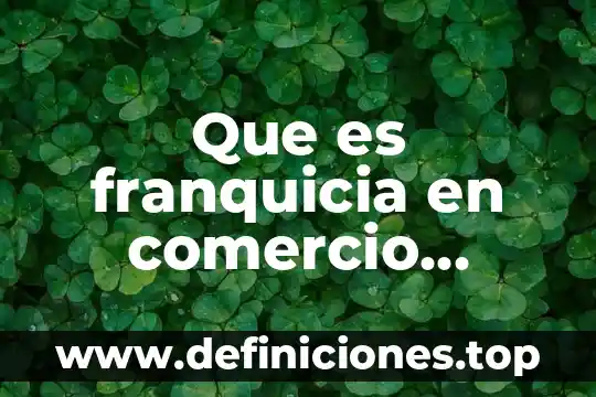Que es franquicia en comercio exterior
