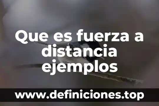 Que es el comercio a distancia 8 Que es fuerza a distancia ejemplos