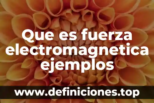 Que es una referencias bancarias ejemplos 5 Que es fuerza electromagnetica ejemplos