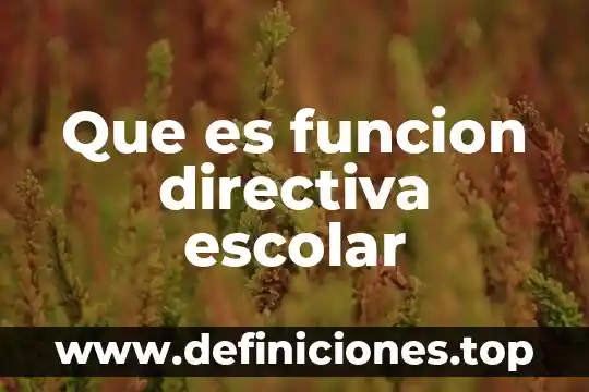 Que es una mal función directiva en preescolar 5 Que es funcion directiva escolar