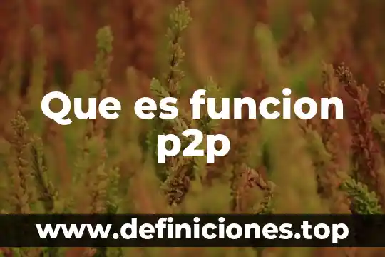 Que es una exprecion de una funcion lin 7 Que es funcion p2p