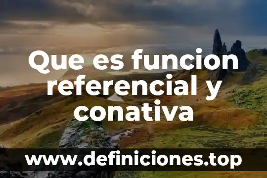 Que es un marco referencial de un proyecto de investigacion 5 Que es funcion referencial y conativa