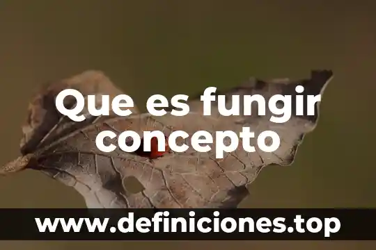 Que es fungir concepto