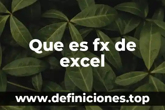 Que es fx de excel