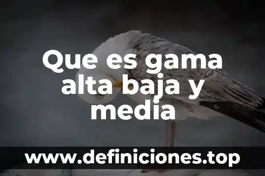 Premio baja california a la calidad y competitividad que es 8 Que es gama alta baja y media