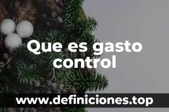 Que es gasto control