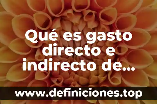 Qué es la distribución funcional del gasto 4 Qué es gasto directo e indirecto de obra