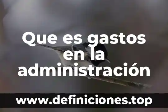 Qué es gastos fijos y variable en administración 7 Que es gastos en la administración