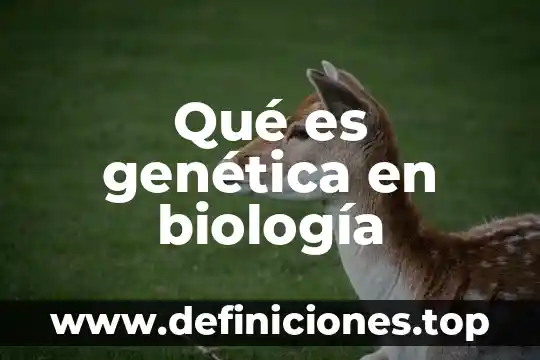 Qué es la deriva genética ejemplos 6 Qué es genética en biología