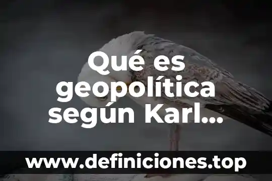 Qué es un signo según Vygotsky 8 Qué es geopolítica según Karl Ritter
