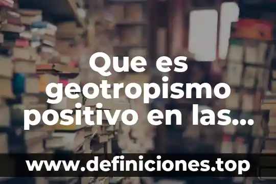 Que es el rendimiento en plantas 8 Que es geotropismo positivo en las plantas
