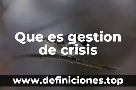 Qué es la gestión Google Académico 7 Que es gestion de crisis