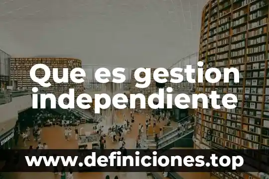 Qué es la gestión Google Académico 6 Que es gestion independiente