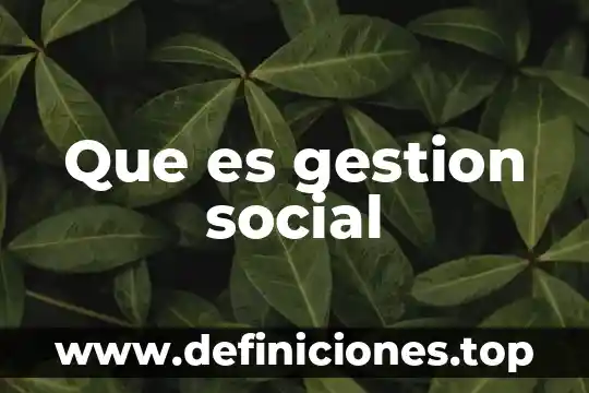 Que es gestion social