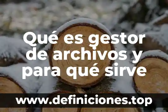 Qué es un gestor de proyectos 6 Qué es gestor de archivos y para qué sirve
