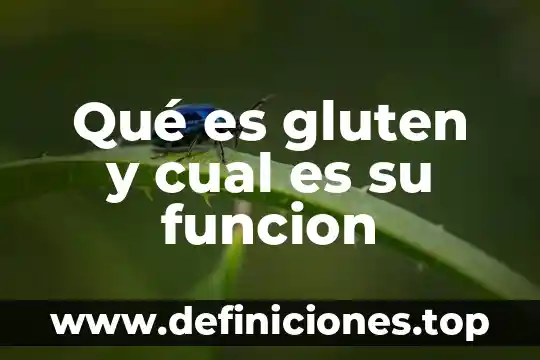 Qué es el amasado y desarrollo de gluten 6 Qué es gluten y cual es su funcion