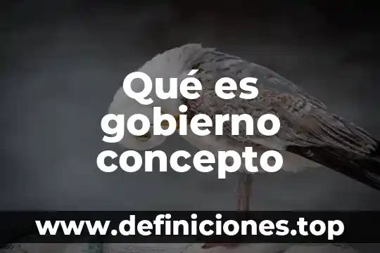 Qué es gobierno concepto
