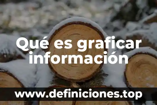 Qué es graficar información
