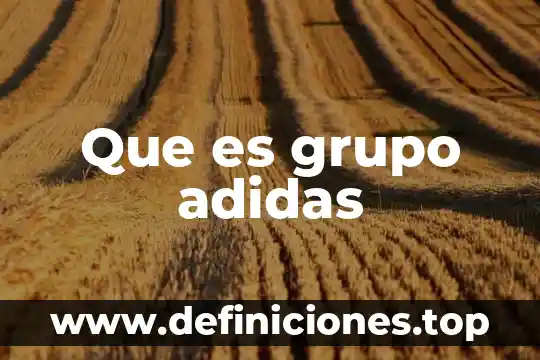 Que es grupo adidas