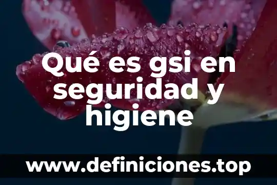 Que es un programa de proteccion e higiene 3 Qué es gsi en seguridad y higiene
