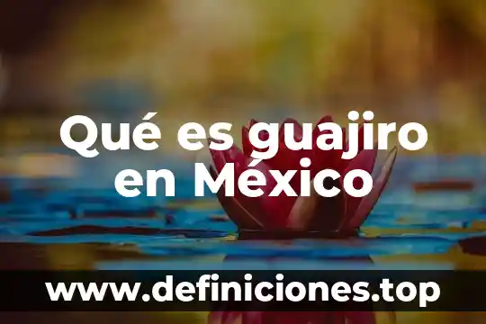 Qué es guajiro en México