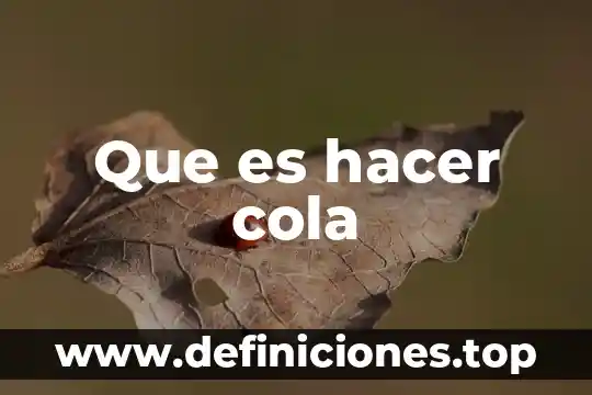 Que es mercadeo directo de la coca cola 5 Que es hacer cola