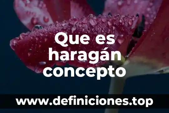 Que es haragán concepto