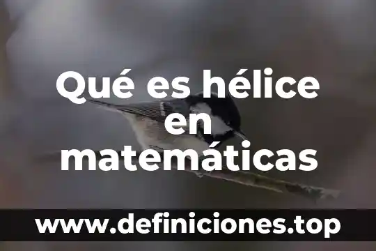 Proceso de asignación de recursos administración que es presentación 5 Qué es hélice en matemáticas