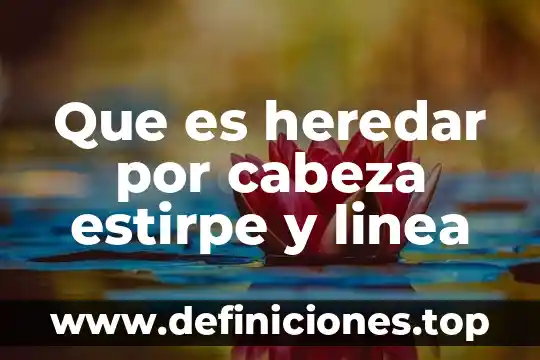Qué es una cabeza animatrónica definición 3 Que es heredar por cabeza estirpe y linea