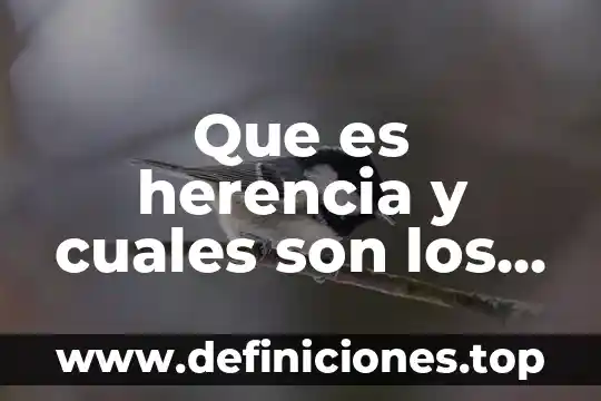 Que es herencia y cuales son los tipos