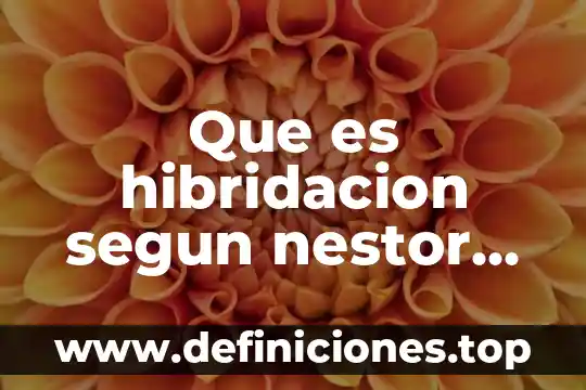 Que es hibridacion segun nestor garcia canclini