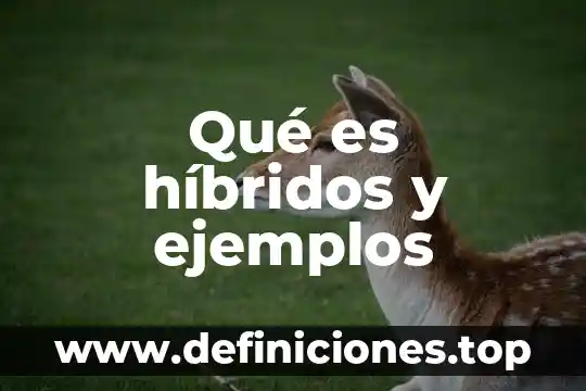 Que es haiga ejemplos 3 Qué es híbridos y ejemplos