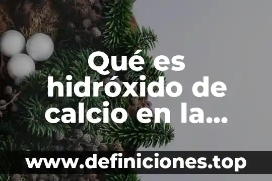 Qué es hidróxido de calcio en la purificadora de agua