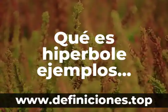 Qué es hiperbole ejemplos visuales