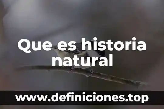 Que es la historia quinica 8 Que es historia natural