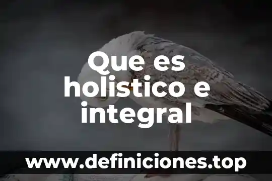 Que es holistico e integral