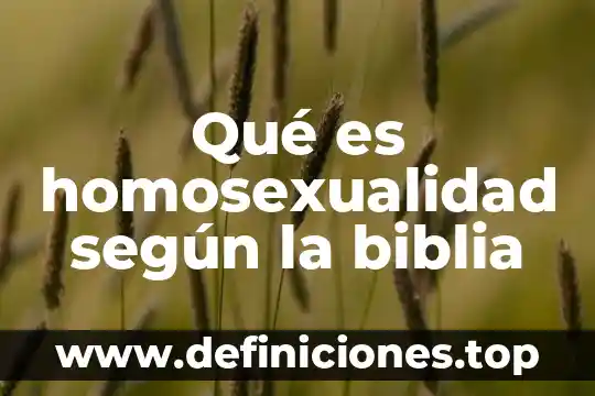 Que es el re liso segun teresaaudesirk 4 Qué es homosexualidad según la biblia