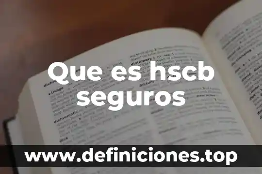 Qué es supraseguro en seguros 3 Que es hscb seguros