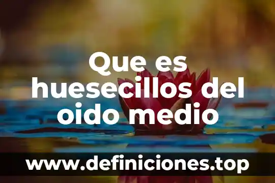 Que es el medio macconkey 3 Que es huesecillos del oido medio