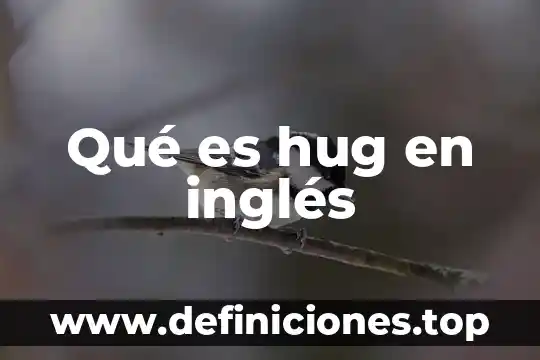 Qué es hug en inglés