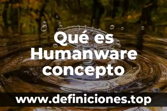 Qué es Humanware concepto