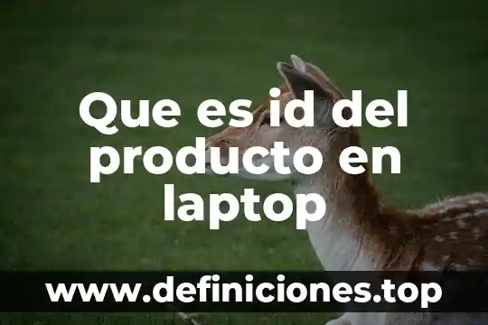 Que es mejor procesador o ram en laptop 7 Que es id del producto en laptop