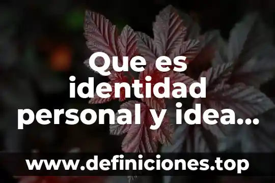 Que es identidad personal y idea nacional