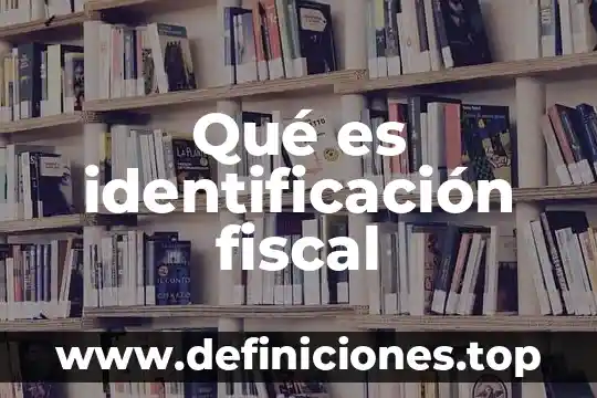 Qué es elusión fiscal y evasión 5 Qué es identificación fiscal