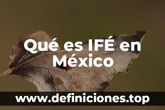 Qué es IFÉ en México