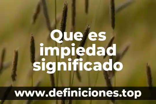Que es impiedad significado